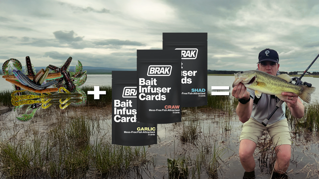 What Are Bait Infuser Cards? A Mess-Free Way to Scent Fishing Baits